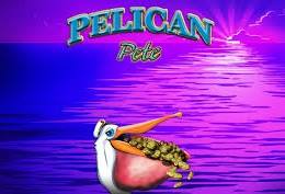 Pelican Pete Slots