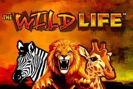 The Wild Life Slots