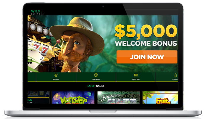 Wild Casino Homepage on Computer