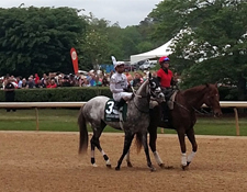 Two Racing Horses at the Arkansas Derby