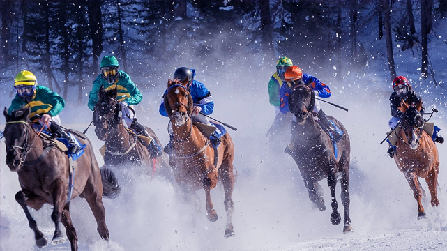 Horse Racers in the Snow