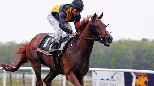 Picture of Jockey and Racing Horse
