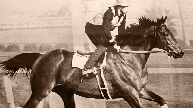 Photo of Racing Horse Seabiscuit
