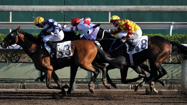 Group of Racing Horses