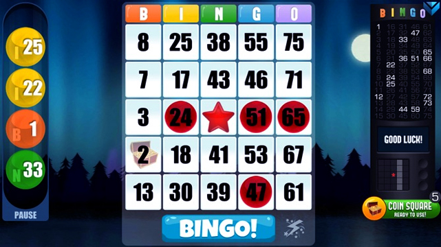 Online Bingo Game Screenshot