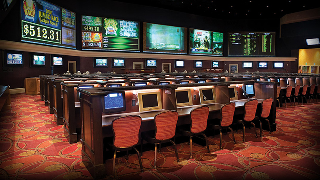 Sports Betting Stations and Screens