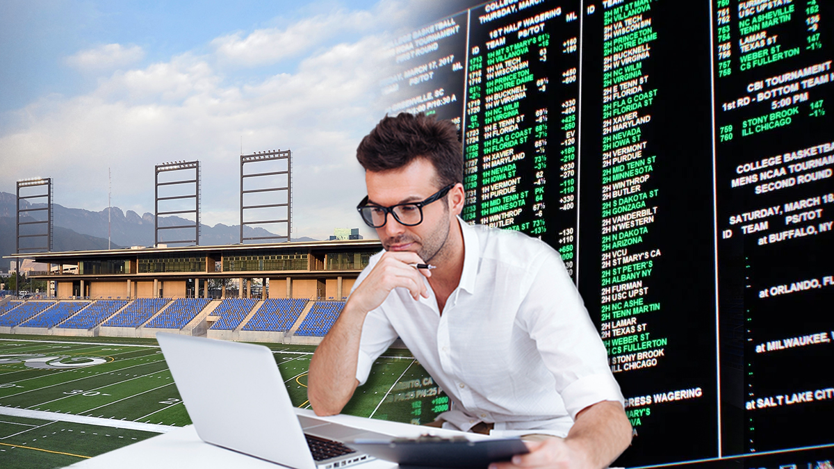 How to Choose an Online Sportsbook - Picking a Sports Betting Site