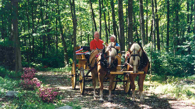 Horse Drawn Carriage at The Olde Ransom Farm