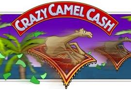 Cash Camel Slot Cash Camel Slot