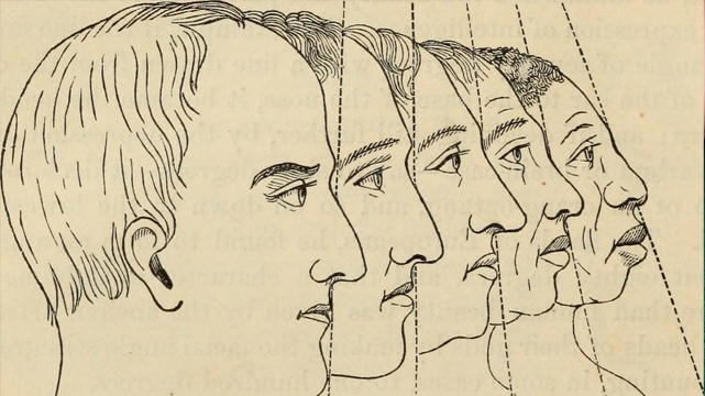 Рисунок, показывающий физиогномику