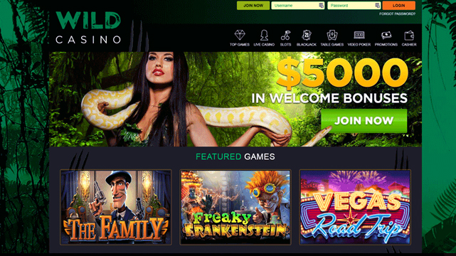 Cuplikan layar Wild Casino
