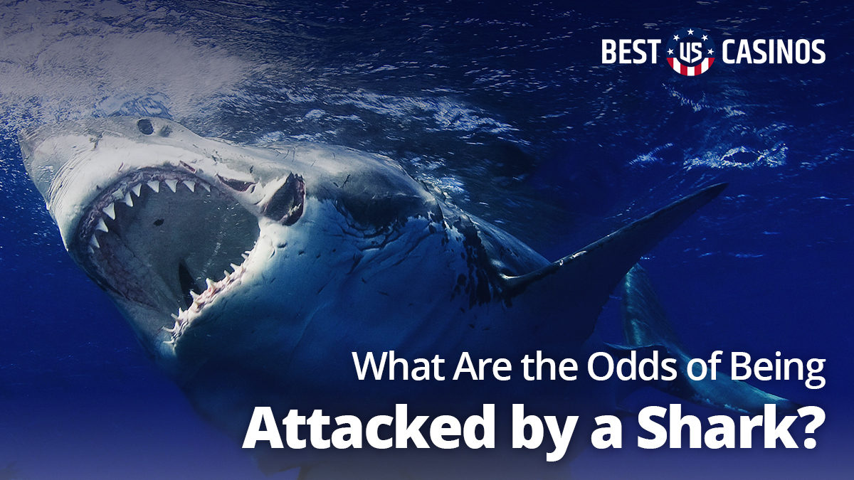 What Are The Odds Of Being Attacked By A Shark Bestuscasinos Org What Are The Odds Of Being Attacked By A Shark Bestuscasinos Org