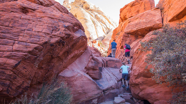 เส้นทางเดินป่าใน Red Rock Canyon
