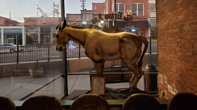 Brass Ass Casino di Colorado