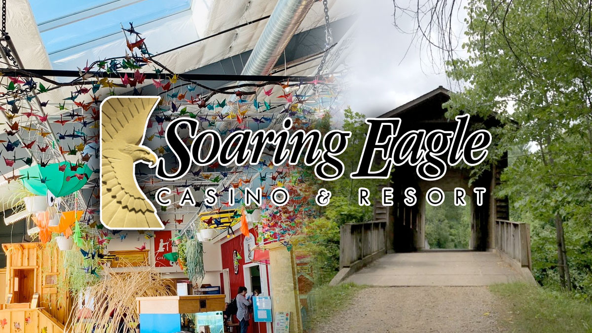 Soaring Eagle Casino App Soaring Eagle Casino App