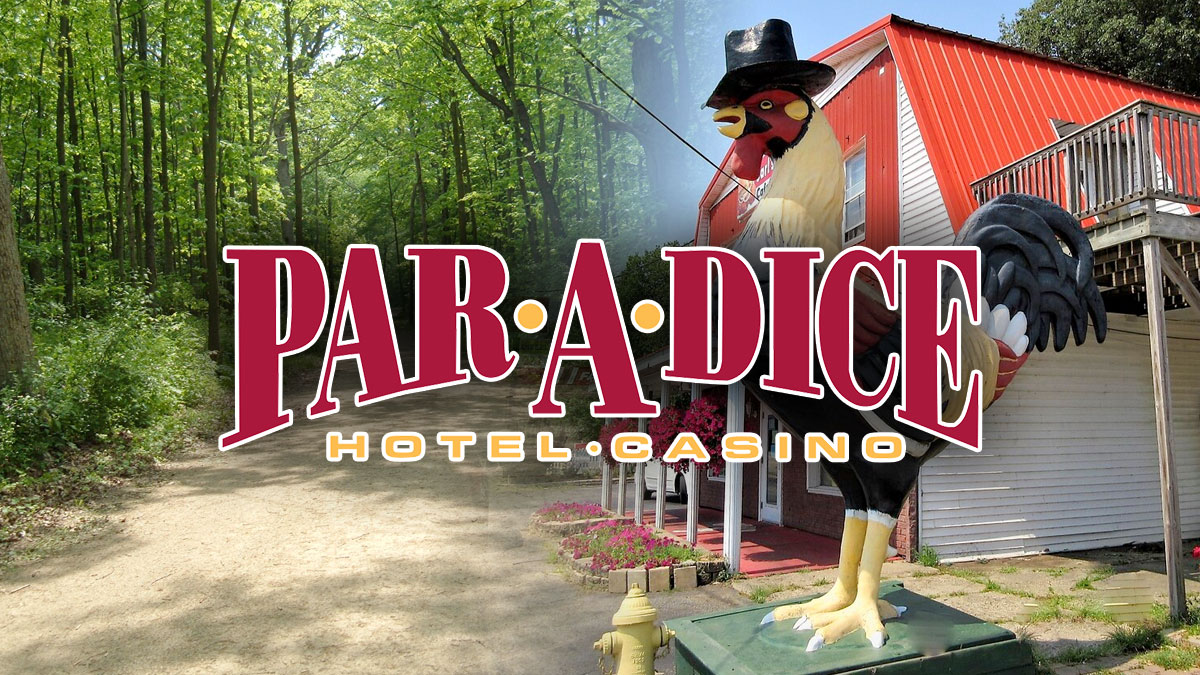 Par-a-dice employee hit by car