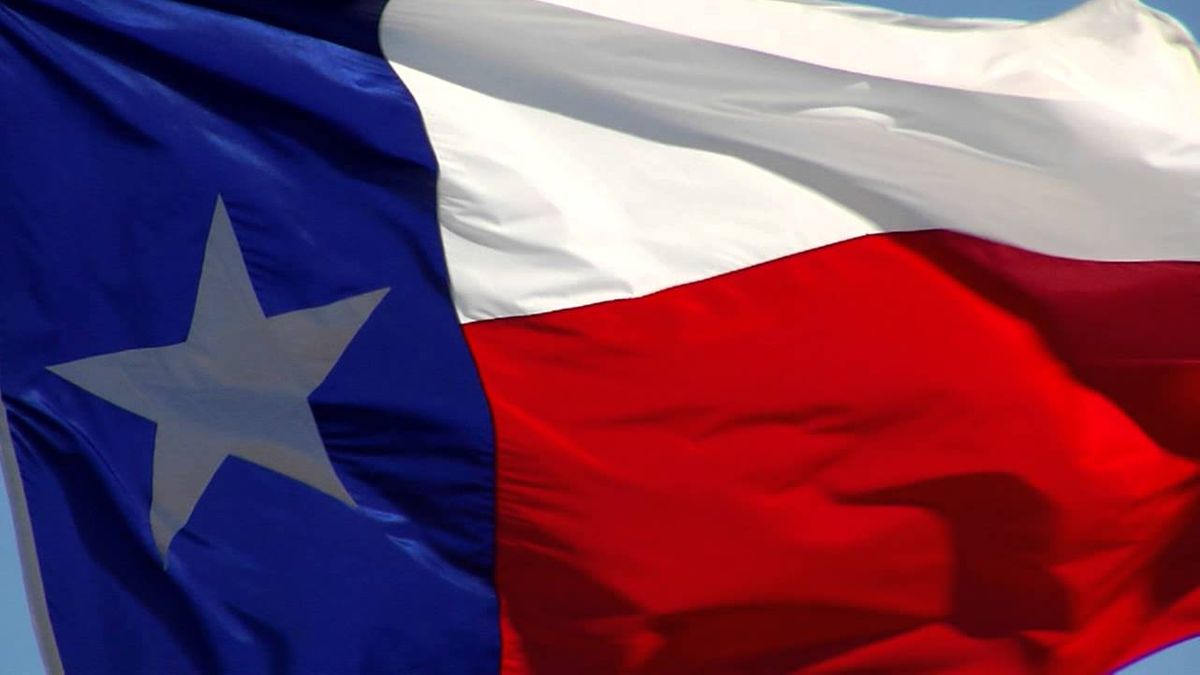 Texas State Flag