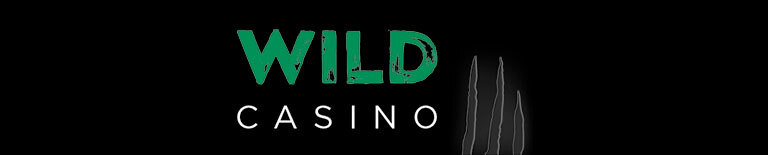 wild-casino Wild Casino Logo